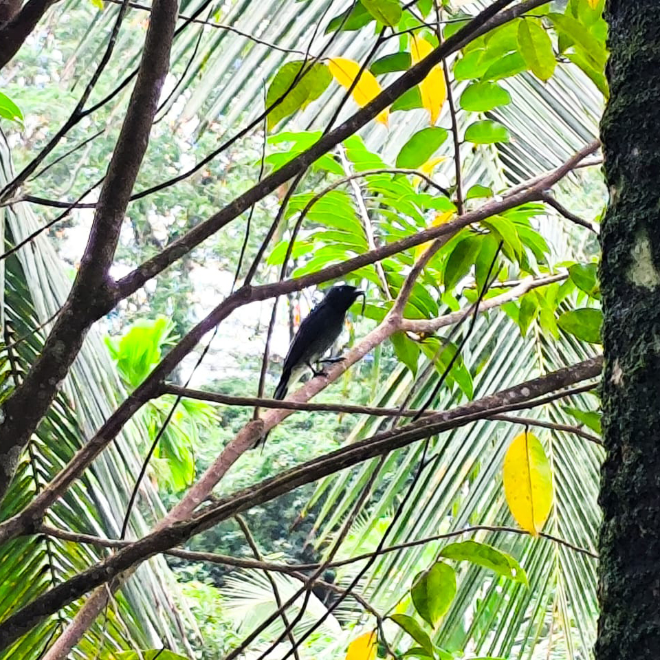 WhatsApp Image 2024-10-03 at 10.04.02 AM